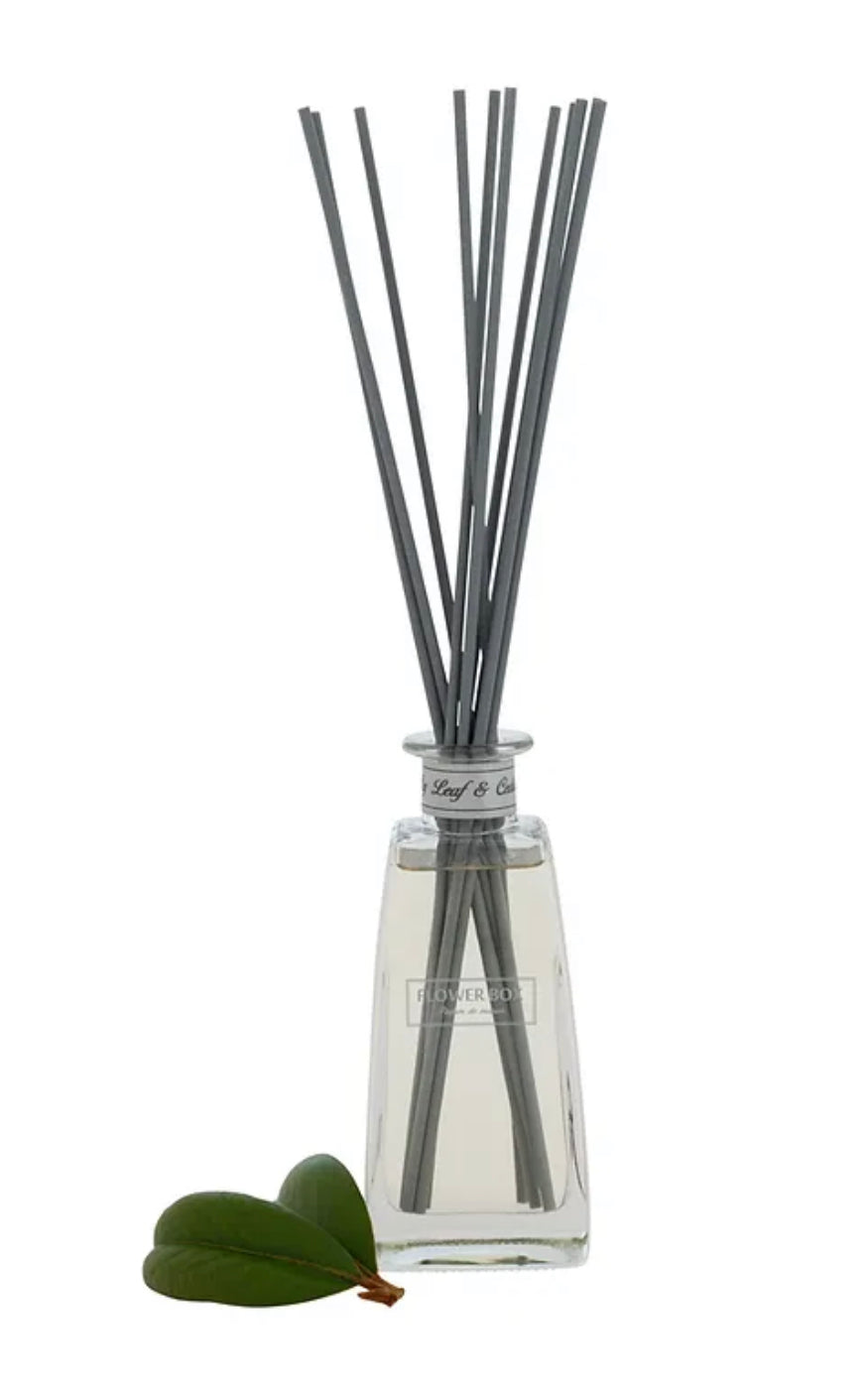 Fig Leaf and Cedar Standard Diffuser