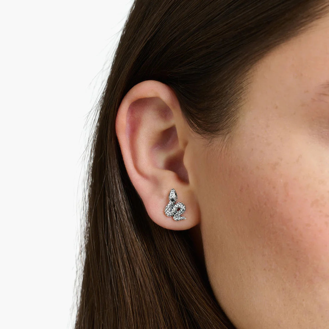 Snake Stud Earrings