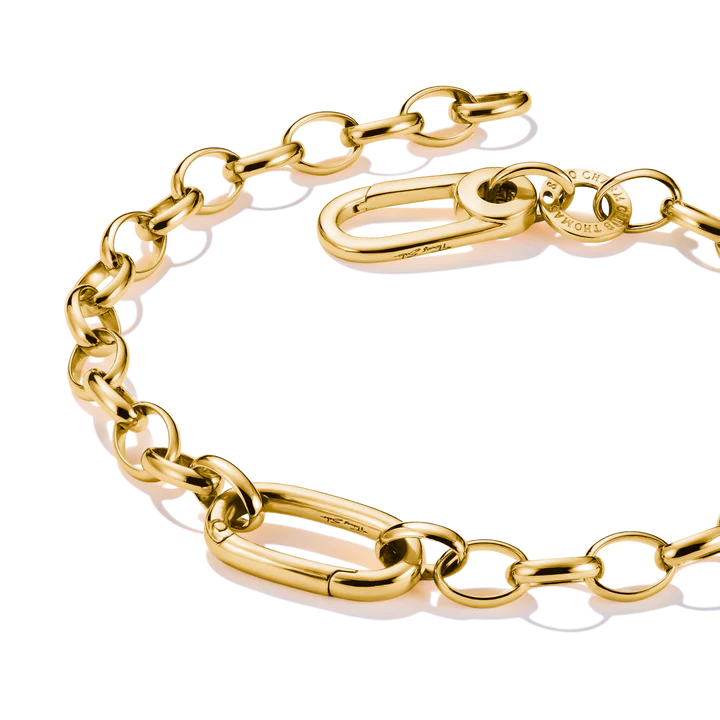 Charm Bracelet with Connect Link in Gold