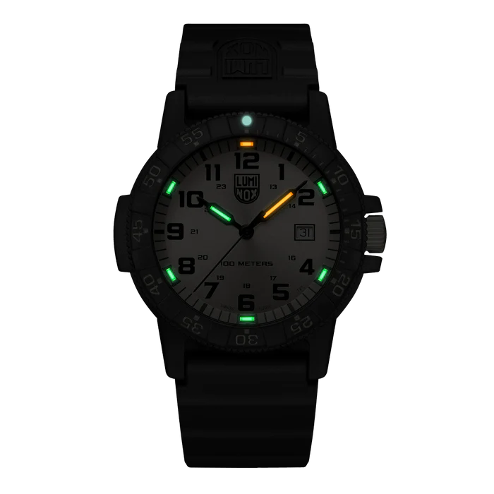 Luminox Leatherback Sea Turtle Giant