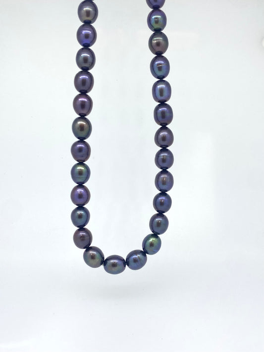 Tahitian Freshwater Pearl Necklace