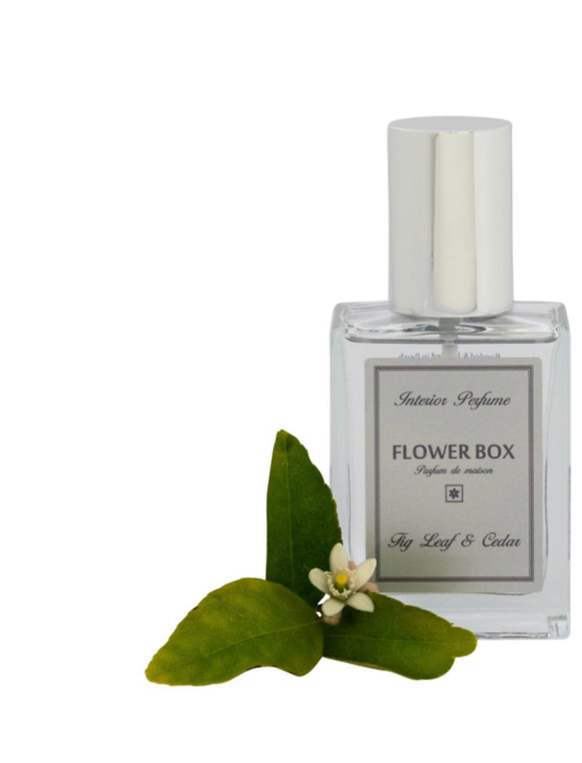 Fig leaf and Cedar Room Spray