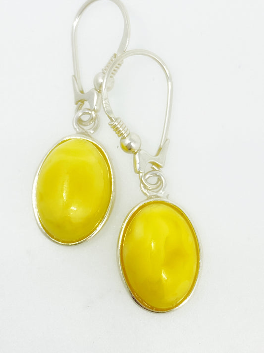 Classic Amber Hook Earrings