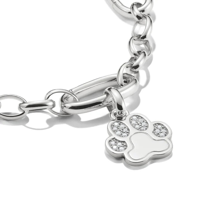 Connect Charm Paw with Stones Silver