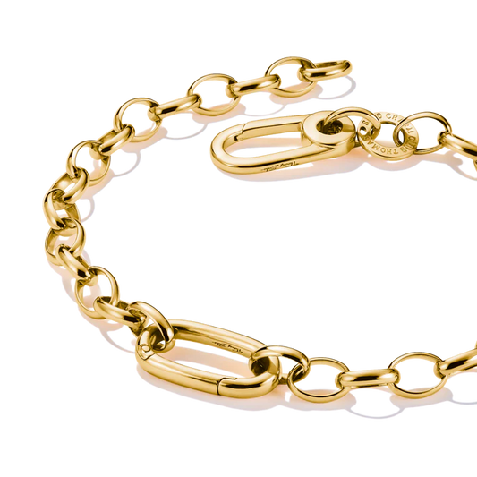 Charm Bracelet with Connect Link in Gold