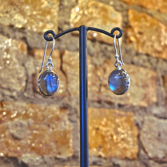 Labradorite Drop Earrings