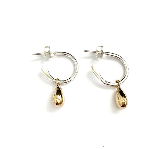 Silver Hoop With Brass Earrings